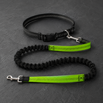 Avidaa Hands-Free Trail Leash