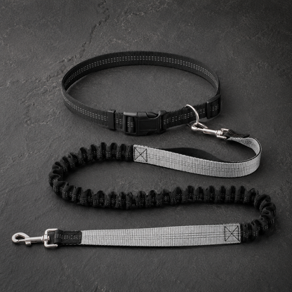 Avidaa Hands-Free Trail Leash