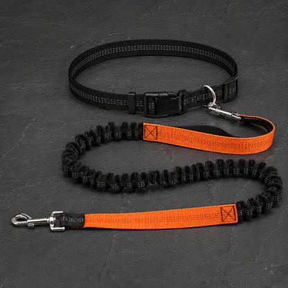 Avidaa Hands-Free Trail Leash
