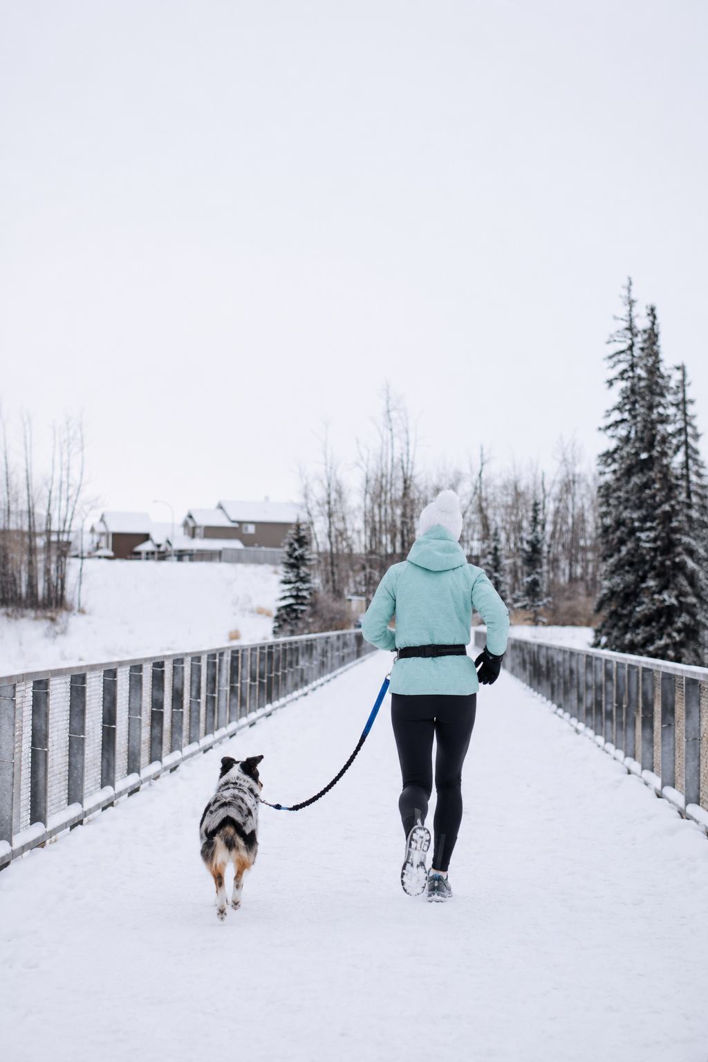 Avidaa Hands-Free Trail Leash