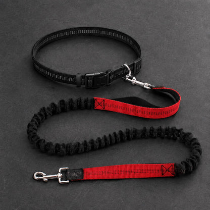 Avidaa Hands-Free Trail Leash