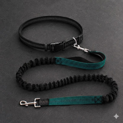 Avidaa Hands-Free Trail Leash